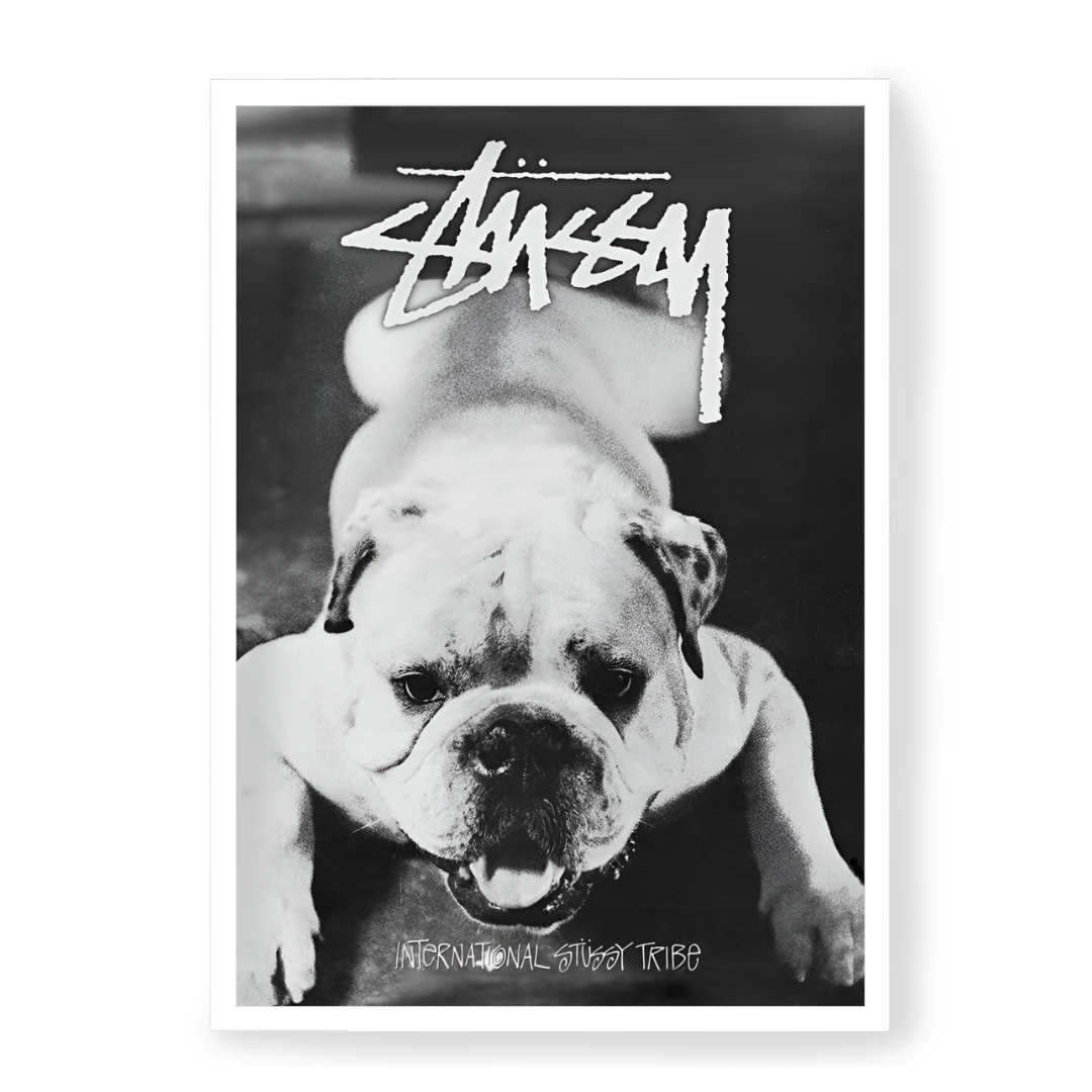 Poster Stussy