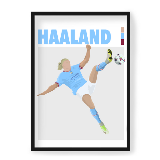 Poster Haaland