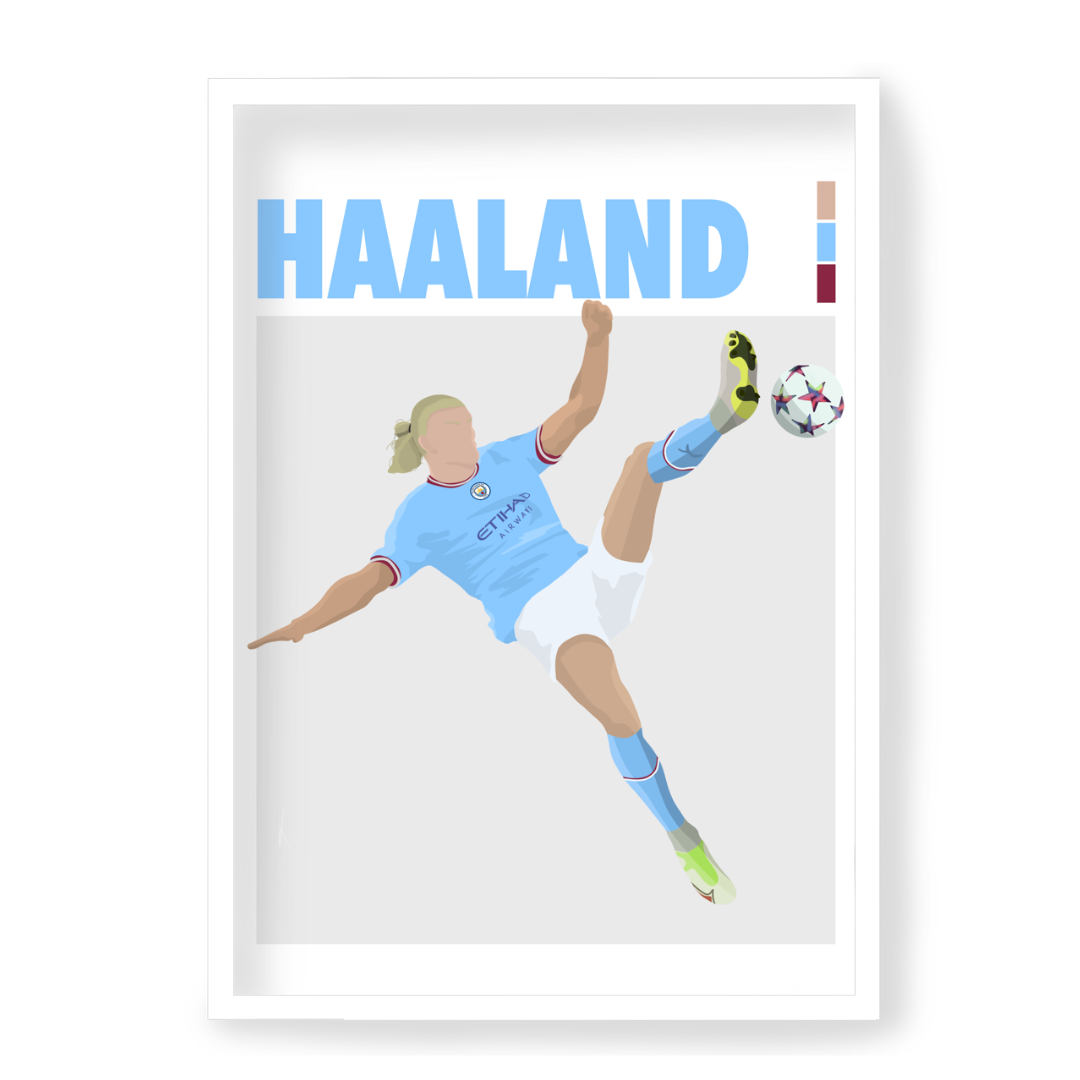 Poster Haaland